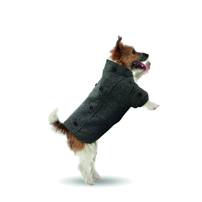 VESTE POUR ANIMAUX DE COMPAGNIE