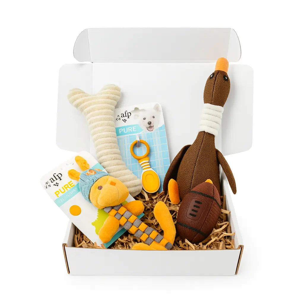 Pack Jouets Premium pour Chien – 5 Jouets de Qualité