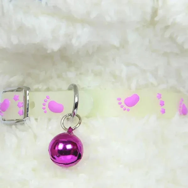 Collier fluorescent en silicone pour animal de compagnie