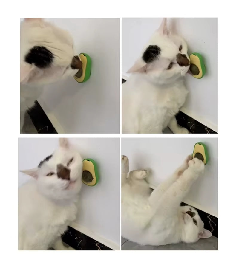 Catnip Boule pour chat