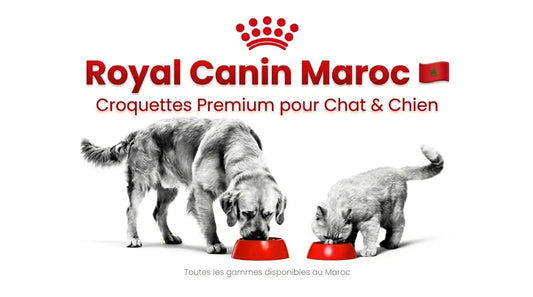 Croquettes Royal Canin Maroc pour chat et chien