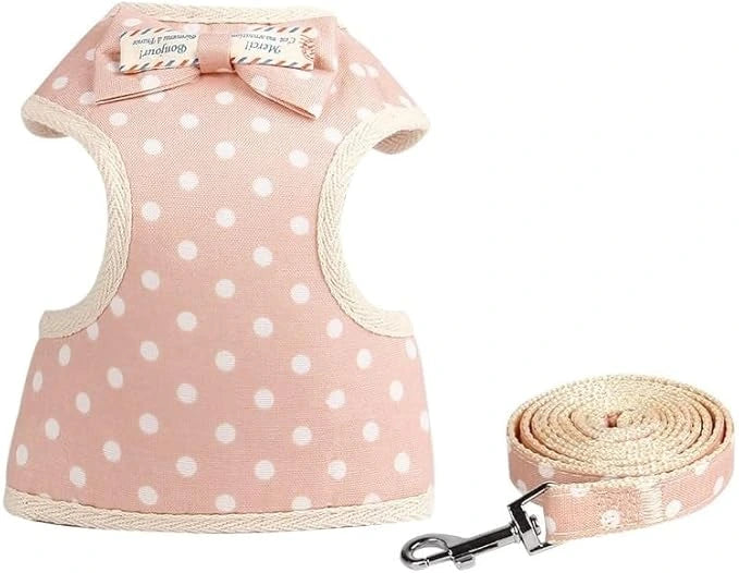 Harnais-Vêtement en Gilet pour Chats et Petits Chiens.