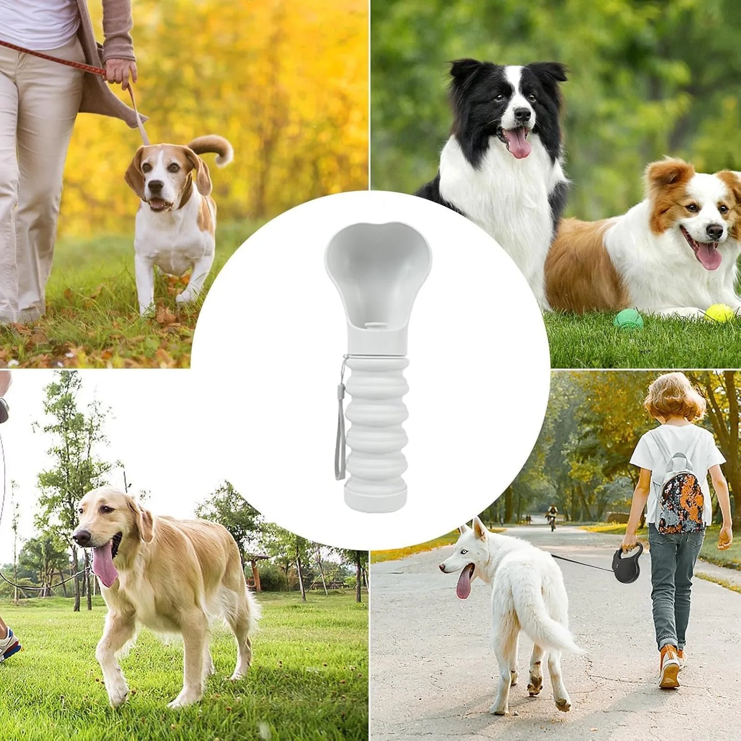 Bouteille d’Eau de Voyage pour Chien – Pliable, Antifuite & Pratique