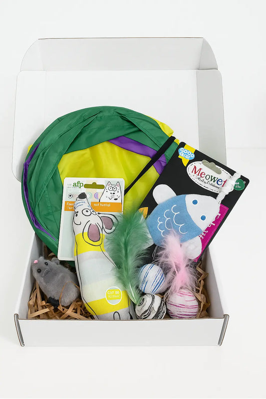 Premium Cat toys pack