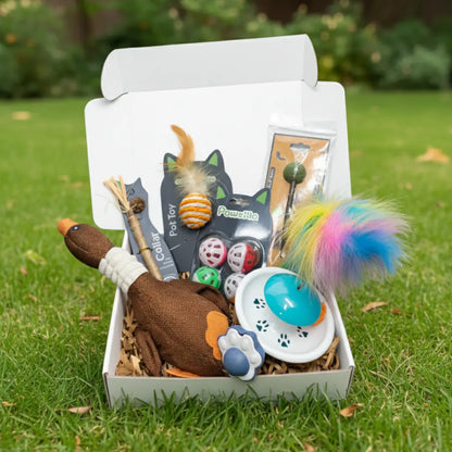 Pack Jouets Premium Chat – 10 Jouets Complets