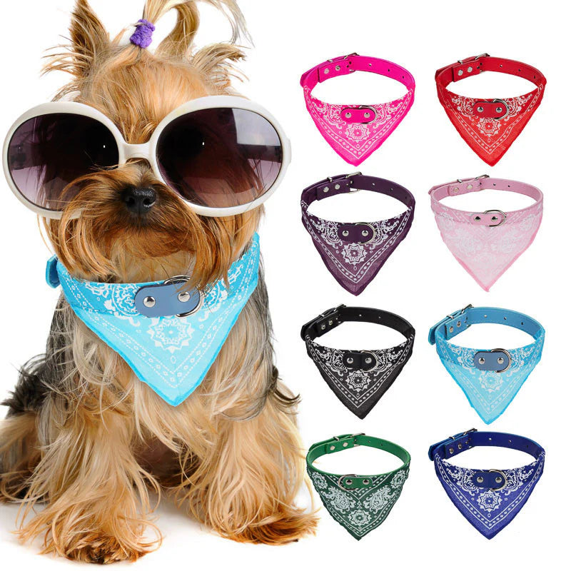 Bandana Ajustable Collier - Écharpe Stylée pour Animaux