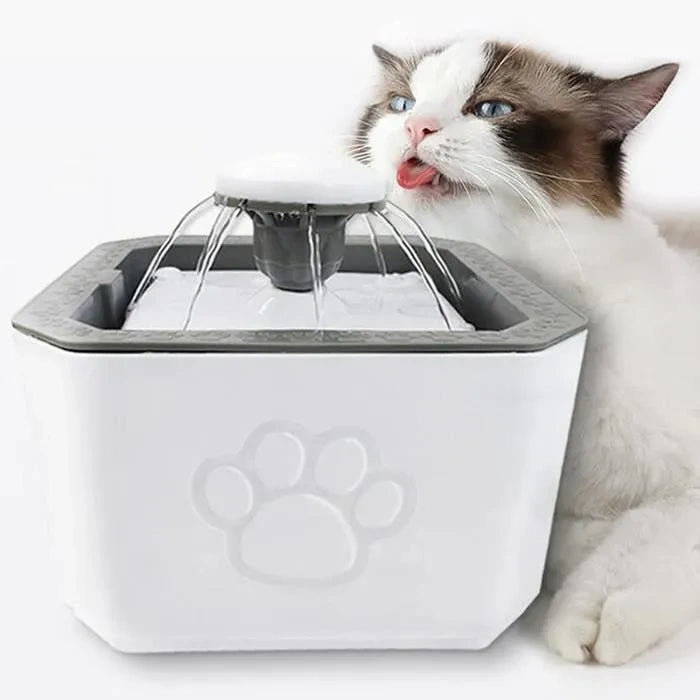 Fontaine à Eau pour Chat Chien
