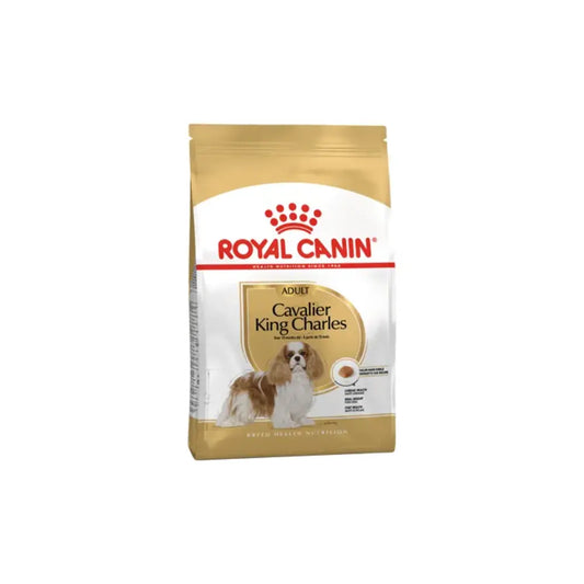 croquettes Royal Canin Cavalier King Charles Adult chien Maroc prix
