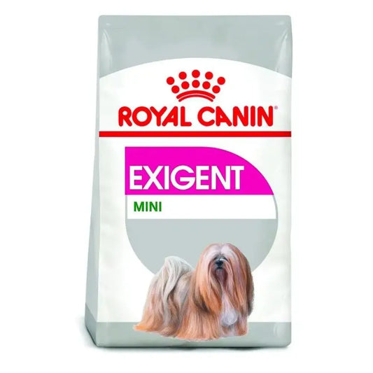 croquettes Royal Canin Mini Exigent chien difficile Maroc prix