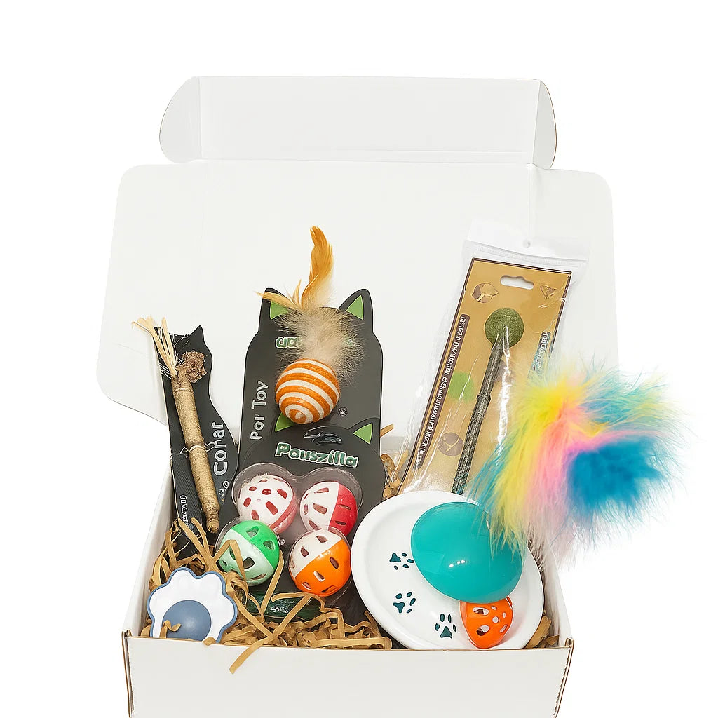 Pack Jouets pour Chat Économique – 9 Jouets Complets